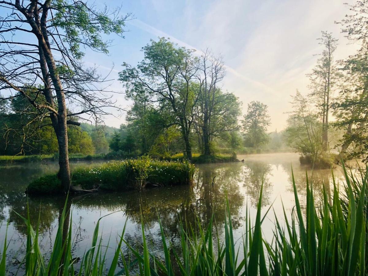 Gite Martin Pecheur Au Coeur De La Nature モンクタン エクステリア 写真